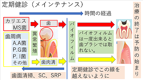 5.定期健診(メンテナンス)