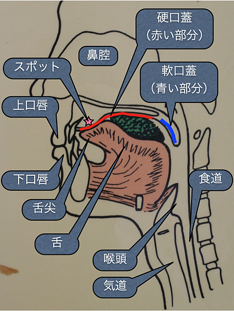 各部名称