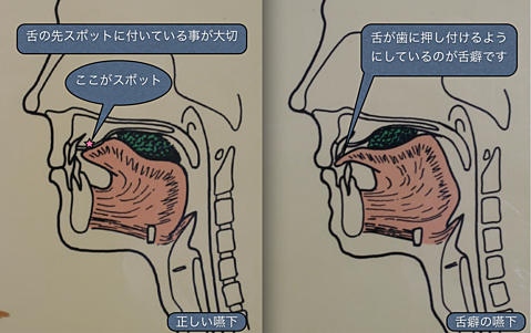 スポットの位置