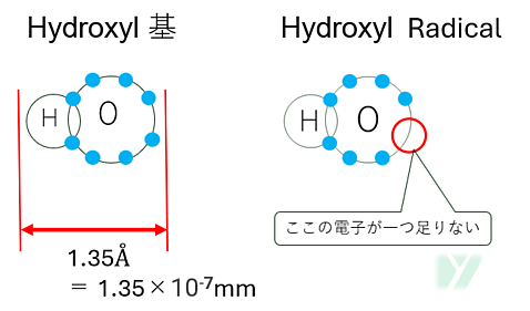 Hydroxyl　Radicalの大きさ